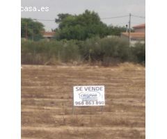 Terreno Urbano en La Almazara