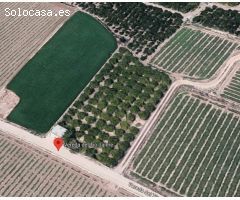 PARCELA RÚSTICA EN VENTA SANTOMERA