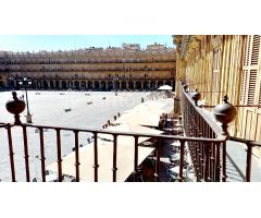 Piso en Venta en Doñinos de Salamanca, Salamanca