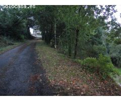 FINCA MUY AMPLIA CON HORREO APARTE EN ZONA DE TAPIA, AMES