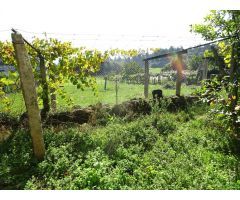 CASA DE PIEDRA CON ALMACEN Y TERRENO ZONA RARIS, TEO