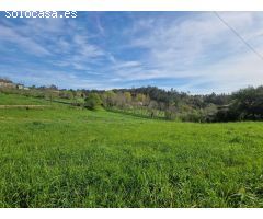 FINCA AMPLIA CON VISTAS EN ZONA TRANQUILA DE TRASMONTE, AMES