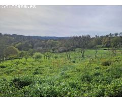 FINCA CON VISTAS EN ZONA DE TRASMONTE, AMES