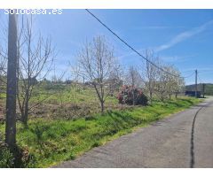 FINCA AMPLIA Y SOLEADA EN ZONA DE TRASMONTE, AMES