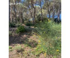 TERRENO URBANIZABLE CASTELLAR DEL VALLÈS