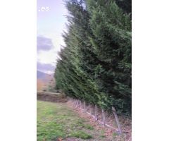 Se Vende Terreno Urbano en Valle de Mena