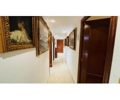 APARTAMENTOS EN ZONA CENTRO. ALICANTE