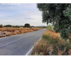 TERRENO URBANO EN CIUDAD ASÍS. ALICANTE