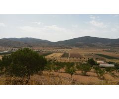 OPORTUNIDAD, 4 PARCELAS URBANIZABLES