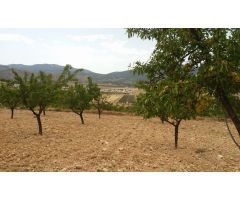 OPORTUNIDAD, 4 PARCELAS URBANIZABLES