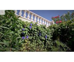 Hotel diseñado para hacer realidad tus sueños y disfrutar en familia, ideal para grupos numerosos.  