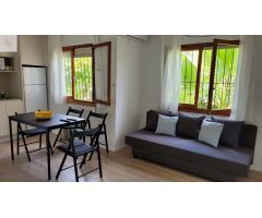 Hotel diseñado para hacer realidad tus sueños y disfrutar en familia, ideal para grupos numerosos.  