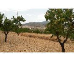 VENTA DE PARCELA