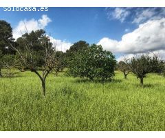 MAGNIFICA FINCA RUSTICA DE 7000 m con casita de 24m totalmente legal