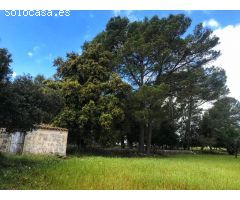 MAGNIFICA FINCA RUSTICA DE 7000 m con casita de 24m totalmente legal