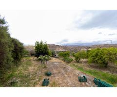 ¡Oportunidad única en Rioja, Almería!