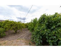 ¡Oportunidad única en Rioja, Almería!