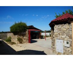 FINCA CON TRES CHALETS EN CONIL DE LA FRONTERA (INDIVISO)