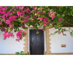 Chalet en Carboneros