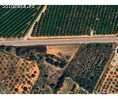 FINCA RÚSTICA DE 2.352 M² EN PARTIDA MESQUIDA