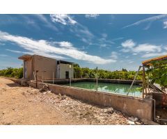 TERRENO RUSTICO EN PARTIDA PINELLA (VILA-REAL)