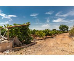 TERRENO RUSTICO EN PARTIDA PINELLA (VILA-REAL)