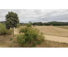 Muy buena parcela rustica, sobre el camino real de Mont Ras. Tierra de cultivo c/pozo y barraca
