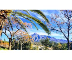 Local comercial en Venta en Marbella, Málaga