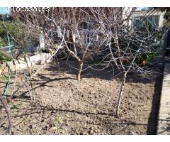 Chalet en Venta en La Torre Monserrat, Valencia