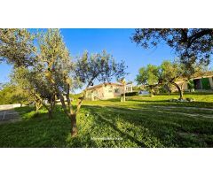 Chalet en Venta en Chiva de Morella, Valencia