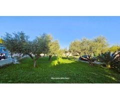 Chalet en Venta en Chiva de Morella, Valencia