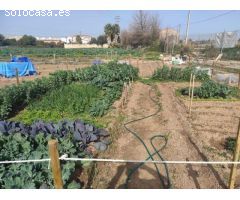 HUERTOS URBANOS EN ALAQUÀS