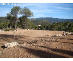 OPORTUNIDAD solar de 2100 m2 en La Pobla de Claramunt por solo ... 45.000 Eur !