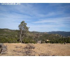 OPORTUNIDAD solar de 2100 m2 en La Pobla de Claramunt por solo ... 45.000 Eur !