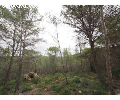 SE VENDE TERRENO RUSTICO EN SANT PERE DE RIBES