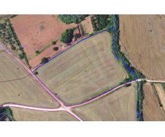 SE VENDE TERRENO RUSTICO EN SENTMENTAT