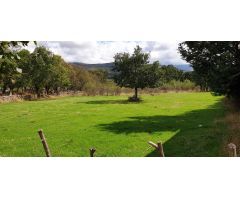 Finca rustica en Venta en Horcajo de la Sierra-Aoslos, Madrid
