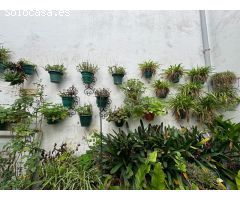 UNA CASA  EN PLENA JUDERÍA, CORDOBA