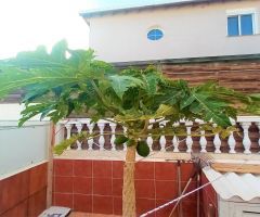 Chalet en Venta en La Playa de Arguineguín, Las Palmas