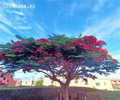 Dúplex en Venta en San Bartolome de Tirajana, Las Palmas