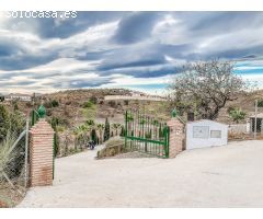 Chalet en Venta en Canillas de Aceituno, Málaga