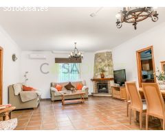 Chalet en Venta en Canillas de Aceituno, Málaga