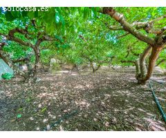 Chalet en Venta en Vélez-Málaga, Málaga