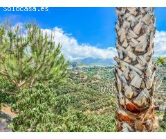 Chalet en Venta en Frigiliana, Málaga