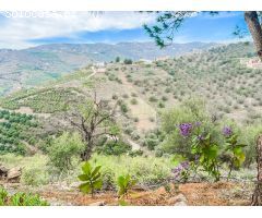 Chalet en Venta en Frigiliana, Málaga