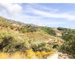 Finca rustica en Venta en Frigiliana, Málaga
