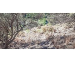Finca rustica en Venta en Frigiliana, Málaga