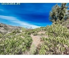 Parcela en Venta en Torrox Costa, Málaga