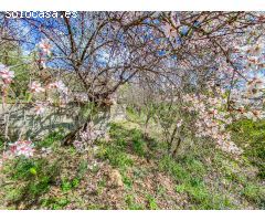 Chalet en Venta en Rincón de la Victoria, Málaga
