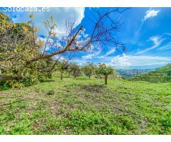 Chalet en Venta en Rincón de la Victoria, Málaga